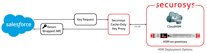Salesforce Cache-Only Key Service